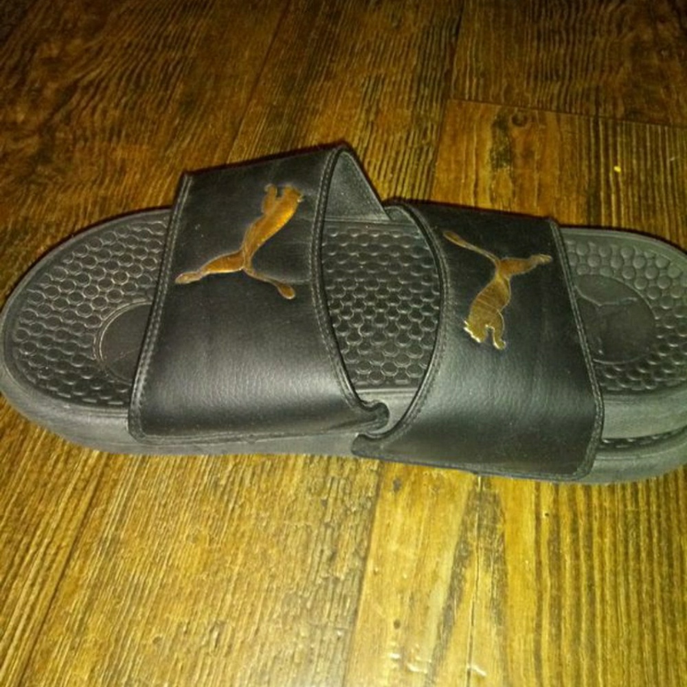 Puma slides